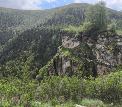 Скалы и лес в урочище Джилы-Су