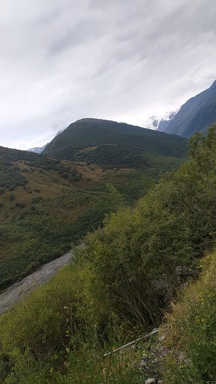 Ущелье в Северной Осетии