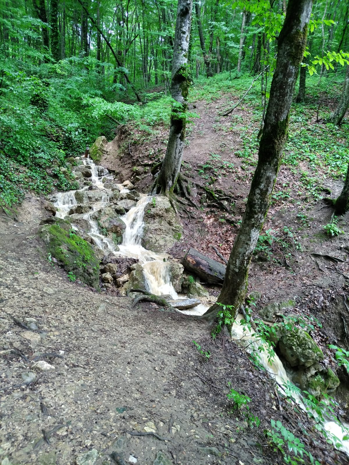 Тропа вдоль реки Курджипс